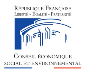 CESE : La conduite du changement au service d’une politique RH « haute-couture »