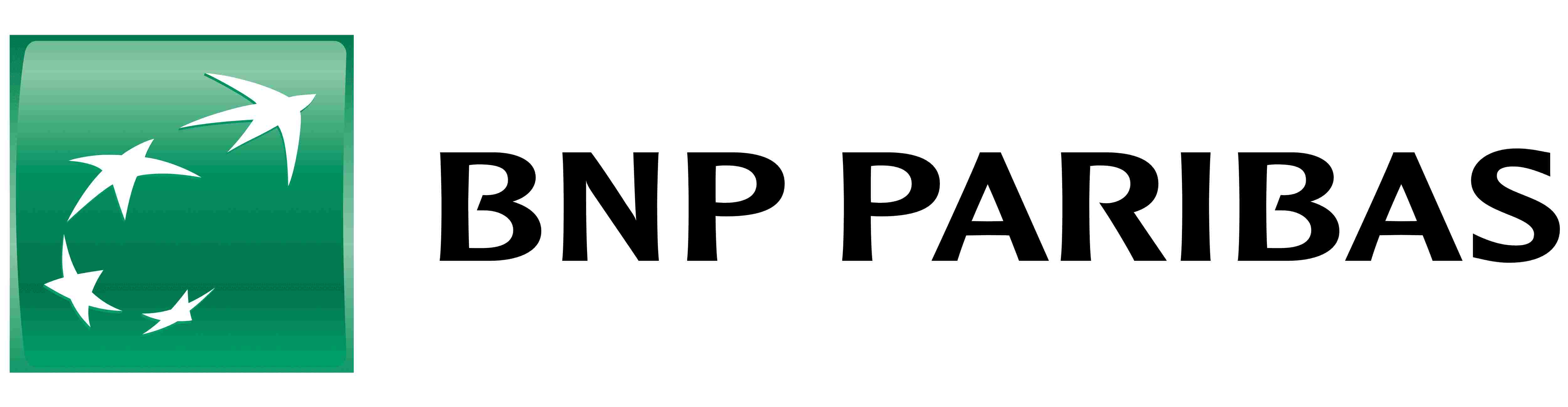 Logo BNP